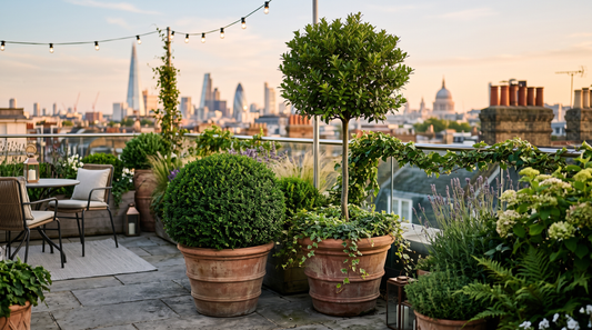 Shaped Plants for Balconies and Roof Terraces: A 2026 Buying Guide