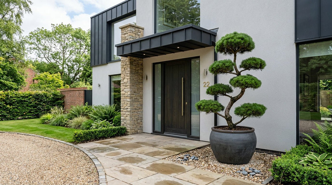 Cloud Trees: What They Are and Where to Use Them