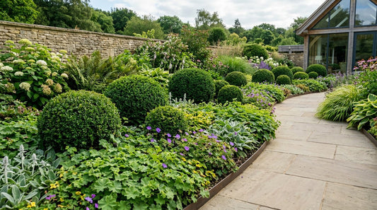 Ground Cover Plants That Stop Weeds and Save You Work