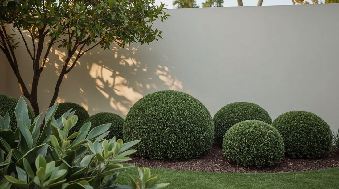 Small Front Garden Ideas That Make a Big Impression