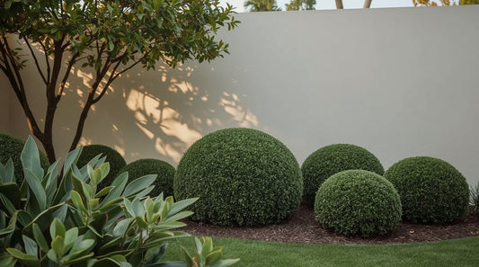 Small Front Garden Ideas That Make a Big Impression