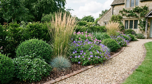 Low Maintenance Border Plants That Practically Look After Themselves