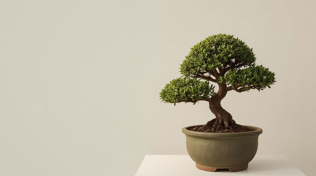 The Best Plants for Cloud Pruning