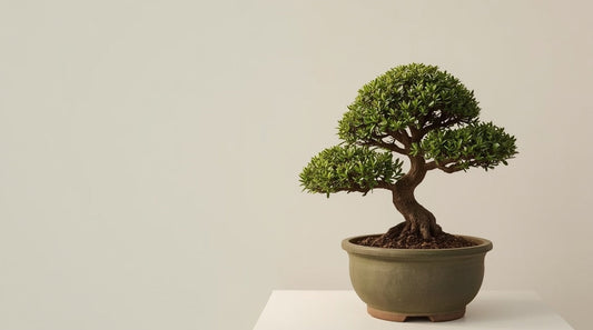 The Best Plants for Cloud Pruning
