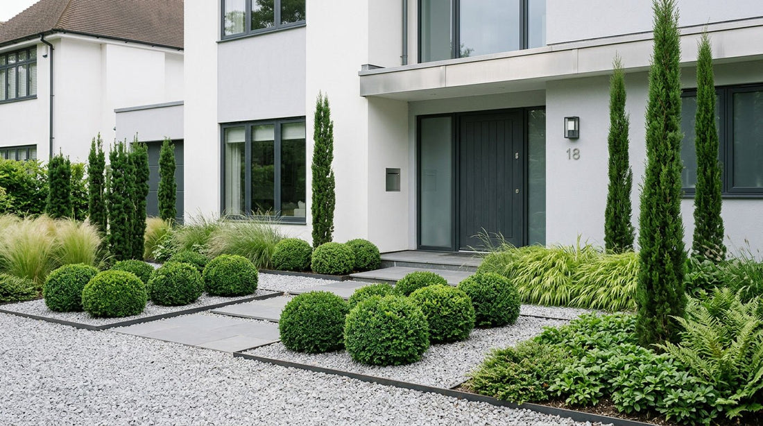 The Best Plants for a Modern Front Garden