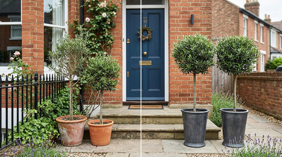 Why Matching Plants Either Side of Your Door Makes Such a Difference