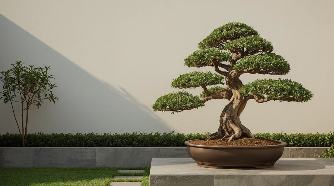 Cones, Pyramids, Domes and Clouds: A Guide to Architectural Plant Shapes