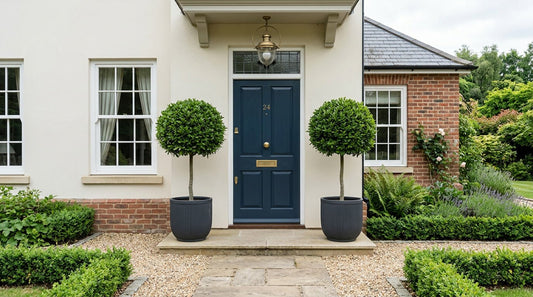 Best Low Maintenance Plants for Your Front Door