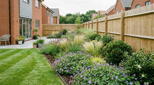 Border Planting for New Build Gardens: Starting From Scratch