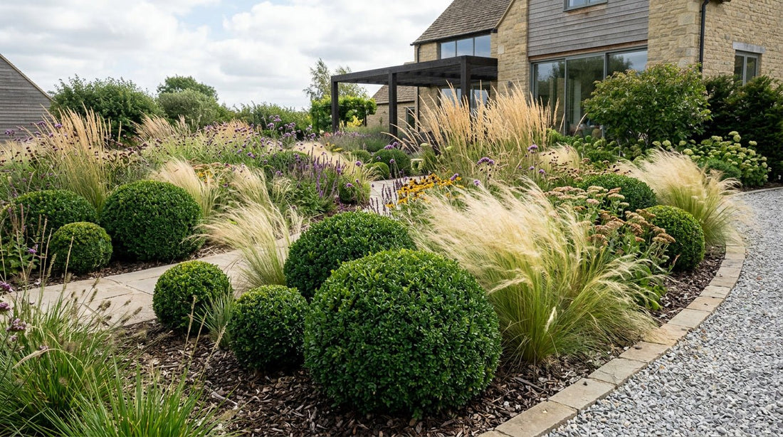 Ornamental Grasses: The Easiest Plants in Your Garden