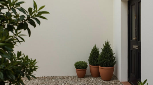 How to Make Your Front Door Look More Expensive (Without Replacing It)