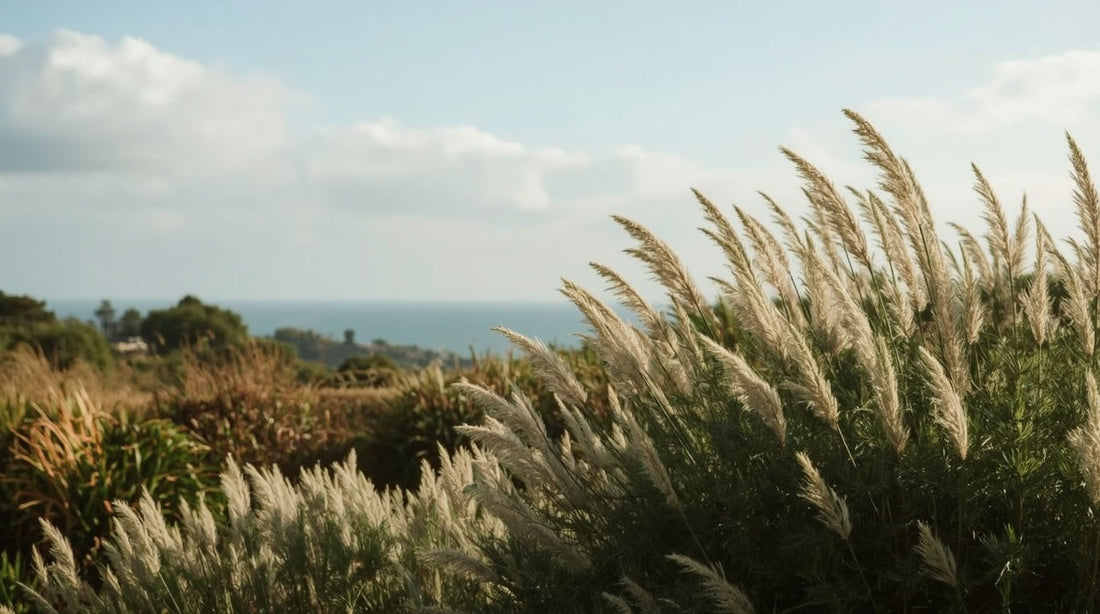 The Best Wind-Resistant Plants for Exposed Gardens