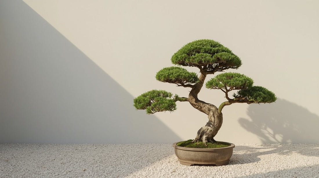 Japanese-Inspired Garden Design: What Actually Works in the UK