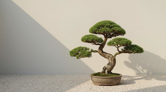 Japanese-Inspired Garden Design: What Actually Works in the UK