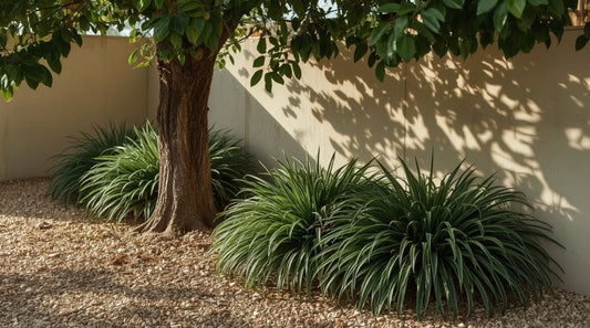 Courtyard Garden Design: Structured Plants That Thrive in Enclosed Spaces