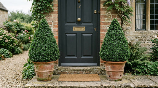 The Complete Guide to Choosing Plants for Your Front Door