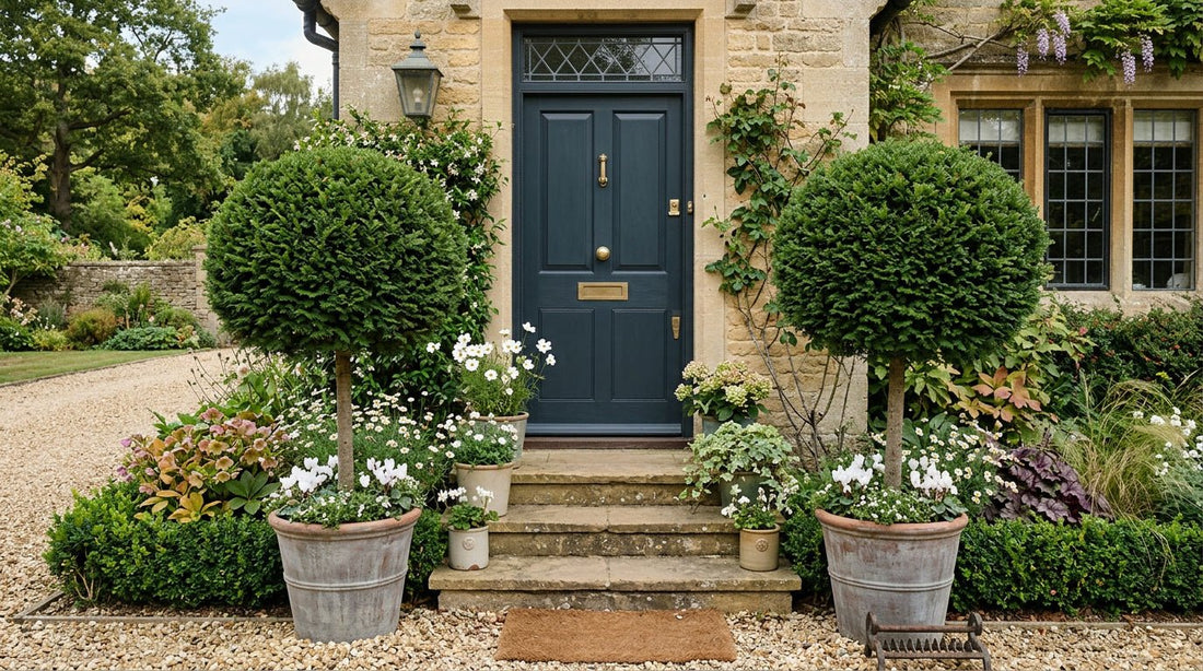 Evergreen Plants That Look Good by Your Door All Year Round