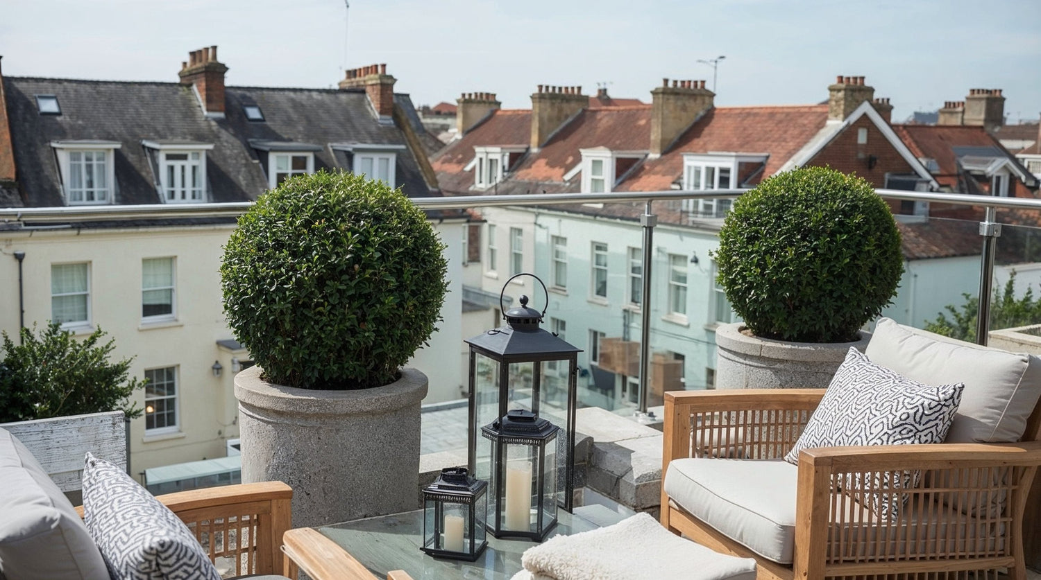 Balcony & Terrace Topiary
