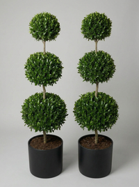 Delavay Privet Multi-Ball Topiary Pair - Orbis & Rondo