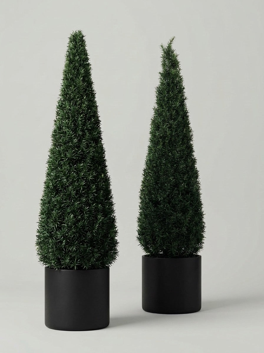 English Yew Cone Topiary Pair - Vela & Spira