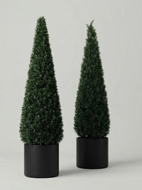 English Yew Cone Topiary Pair - Vela & Spira