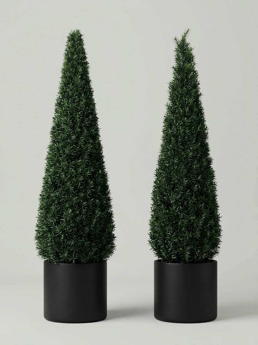 English Yew Cone Topiary Pair - Vela & Spira
