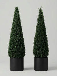 English Yew Cone Topiary Pair - Vela & Spira