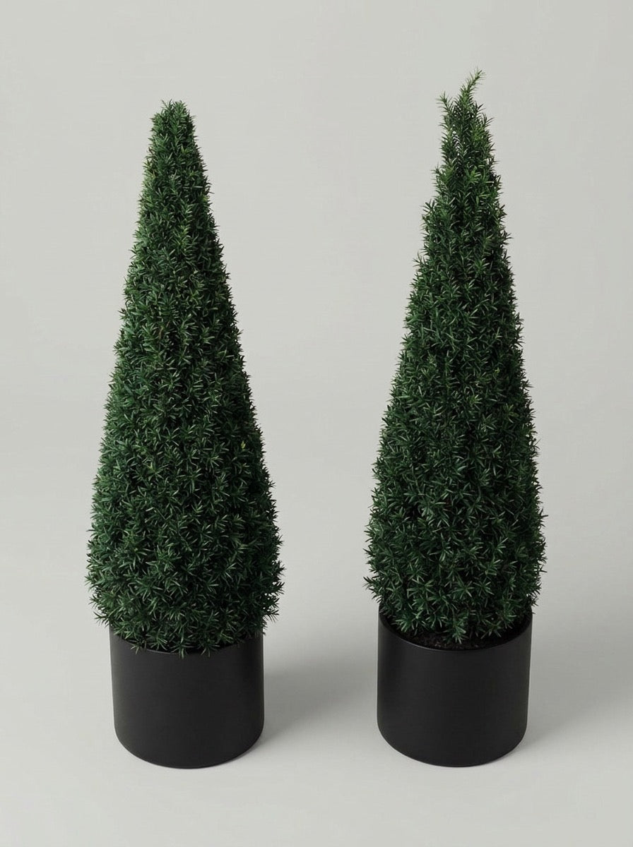 English Yew Cone Topiary Pair - Vela & Spira