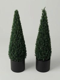 English Yew Cone Topiary Pair - Vela & Spira
