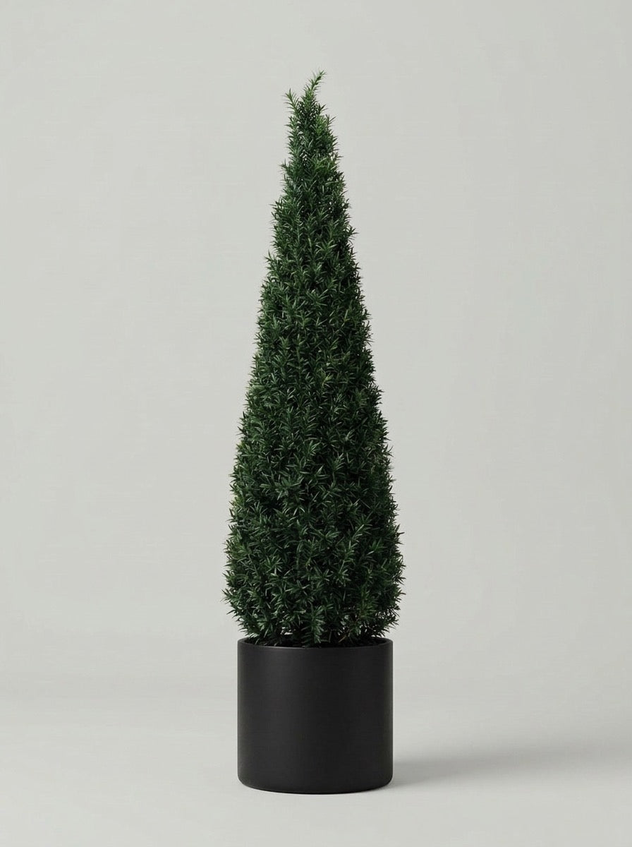 English Yew Cone Topiary Pair - Vela & Spira