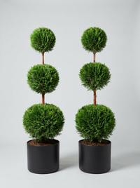 Thuja Smaragd Multi-Ball Topiary Pair - Emero & Viridi