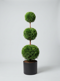 Thuja Smaragd Multi-Ball Topiary Pair - Emero & Viridi