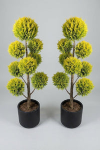 Studio · Golden cypress pom-pom pair standing level and symmetrical against a plain grey studio wall