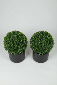 Studio · The holly ball pair front-on, twin spheres level in matching matte black pots