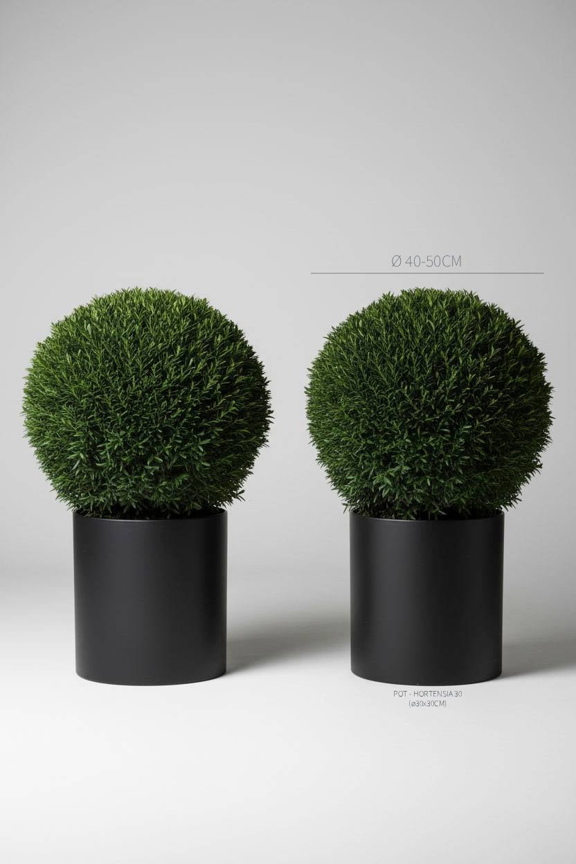 Studio · Prim and Proper, a matched pair of clipped yew balls in black cylinder pots, marked 40-50cm across