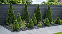 Showcase · Wide view of nine sentinel cones ranged along a dark fence above slate chippings