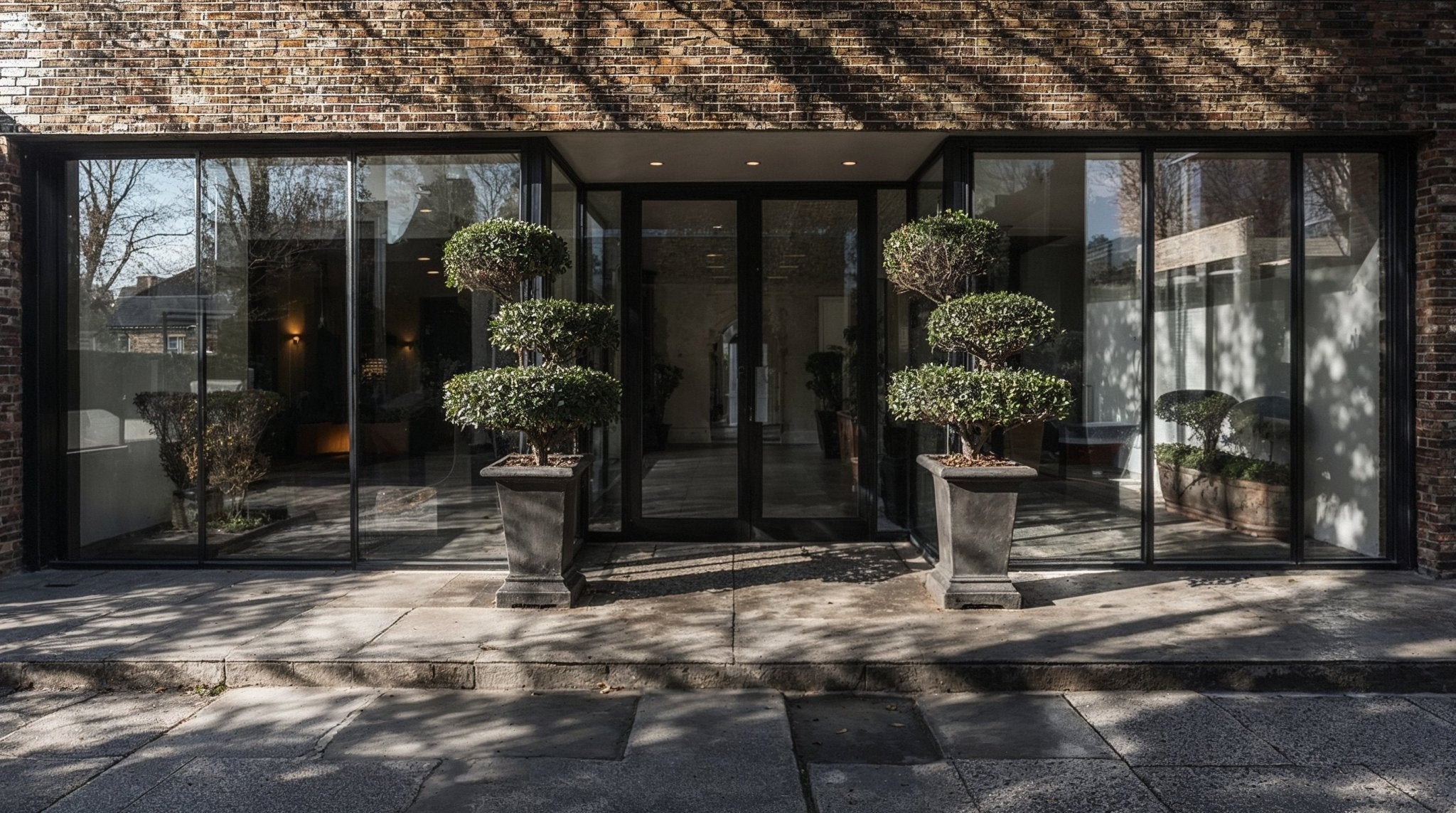 A pair of bonsai-style topiary trees in tall planters creating clean doorway symmetry against a modern glazed business entrance.