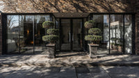Showcase · Two cloud-pruned trees in stone planters flanking the glazed doors of a brick office entrance