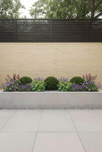 Showcase · Ilex crenata balls with catmint, alchemilla and pink geraniums in a long concrete planter