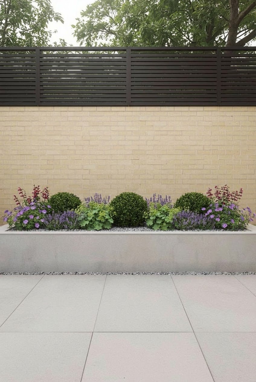 Showcase · Ilex crenata balls with catmint, alchemilla and pink geraniums in a long concrete planter