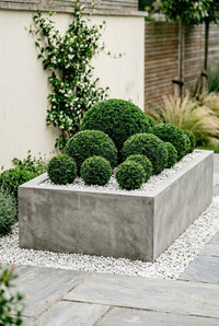 Showcase · The concrete trough seen end-on, its graduated spheres rising against a rendered wall