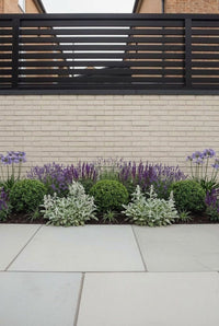 Showcase · Straight-on view of the formal border, ball topiary evenly spaced beneath a slatted screen