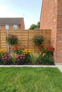 Showcase · Wide view of the autumn gold border turning the corner of the house above a lawn