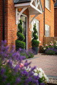 Showcase · Clipped evergreen spirals in grey pots either side of a dark front door, with lavender in the border