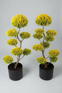 Studio · The golden pair photographed close, each topped by a rounded crown above smaller flat pads.