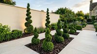 Showcase · Wide view of graduated spirals stepping across a pale limestone terrace at dusk