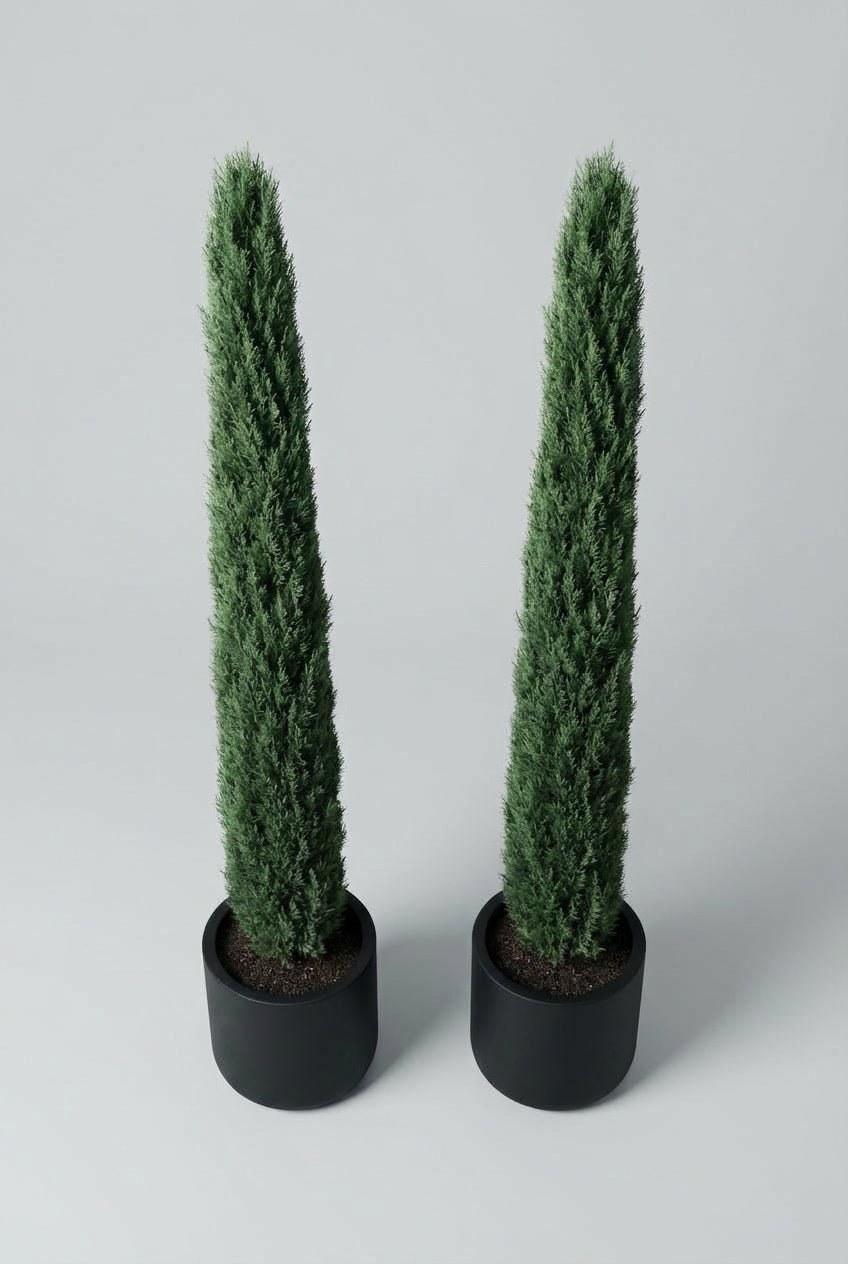 Hand-matched pair of Italian Totem Cypress pencil topiary trees, approximately 200cm tall, featuring tall, narrow evergreen forms in matte black pots against a soft grey studio background.