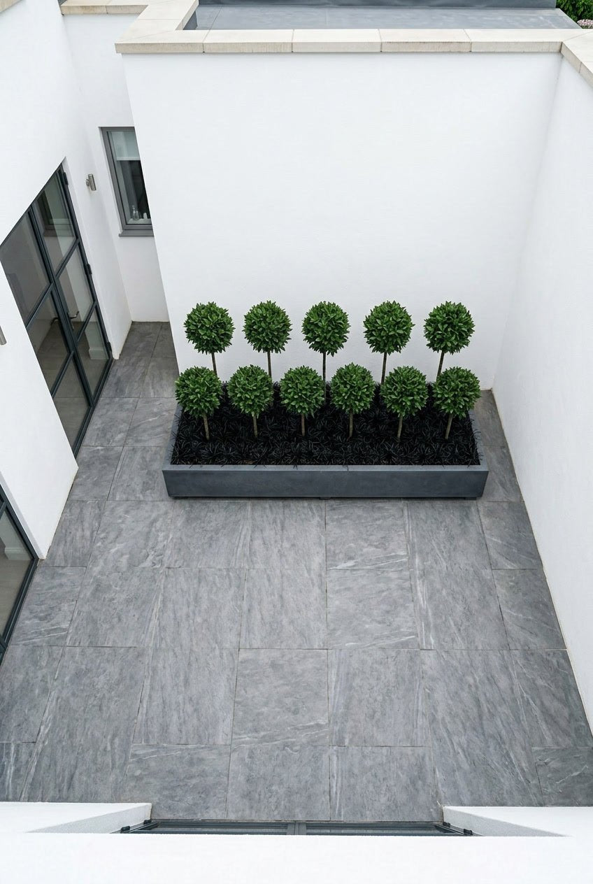 The Lollipop Forest — Architectural Collection with Massed Mini Lollipops