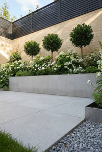 Showcase · Evening light on the white border, three lollipop bays spaced along the buff brick wall