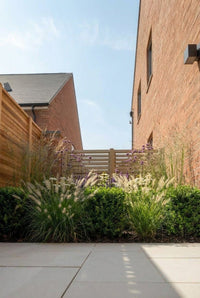 Showcase · Clipped evergreen cubes and fountain grasses filling a narrow side garden between brick houses